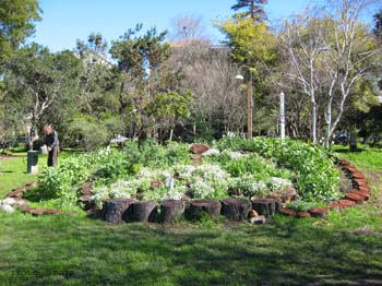 People's Park