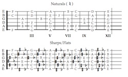 Guitar Geometry excerpt 04