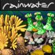Rainwater: art and music CD-ROM